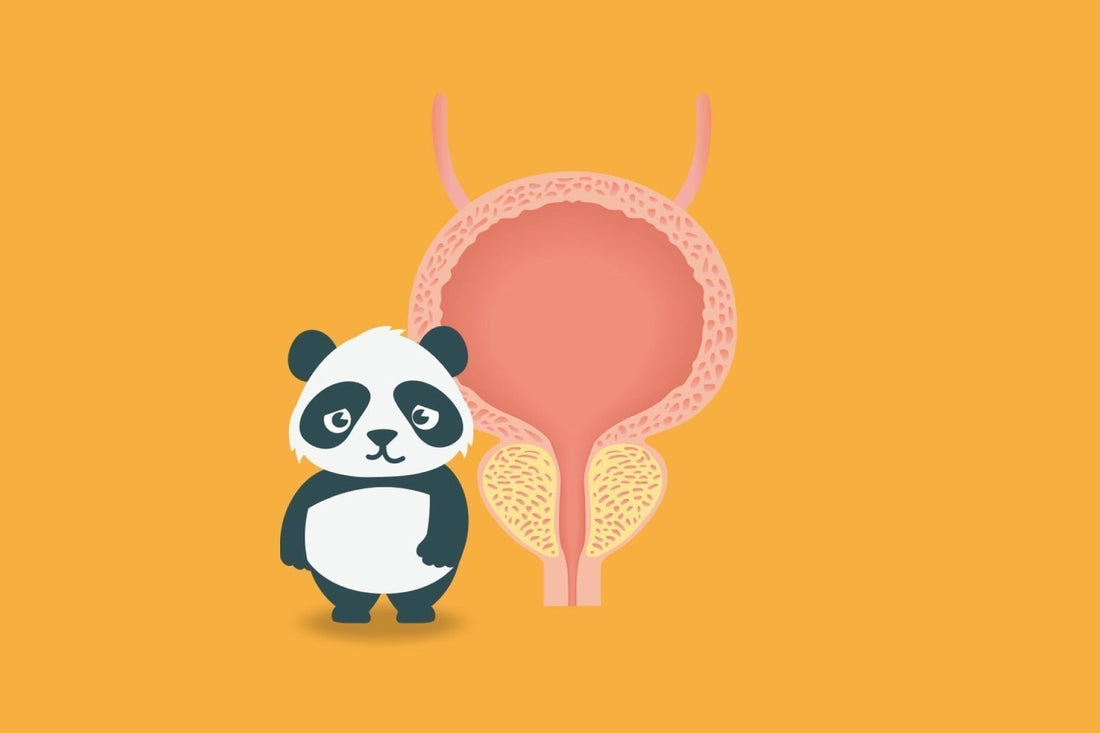 Blaascapaciteit kind - Dryly®